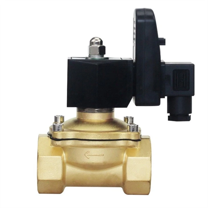 Water Solenoid Valve With Timer